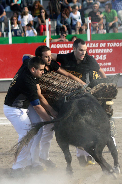 Festejos Taurinos para pueblos cerca de Fuentes de Ebro