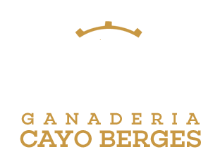 Capeas Zaragoza. Ganadería Cayo Berges